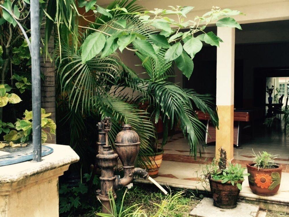 Hotel Nicte Ha Campeche Extérieur photo